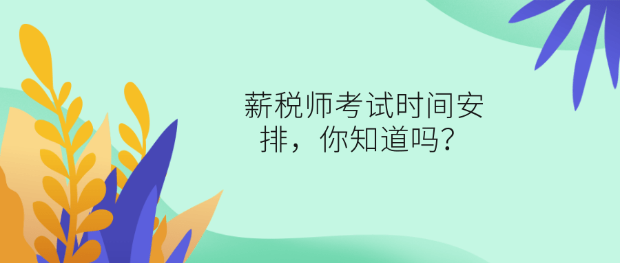 薪税师考试时间安排，你知道吗?