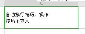 操作技巧不求人，excel单元格内换行技巧