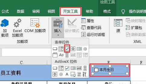 Excel做个生日提醒控件，本月或下月过生日的员工信息随你查看