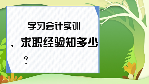 学习会计实训，求职经验知多少?