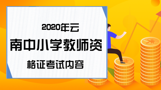 2020年云南中小学教师资格证考试内容