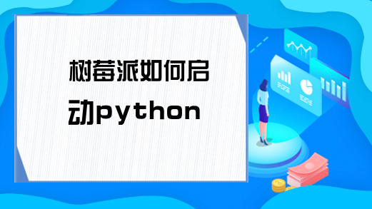 树莓派如何启动python