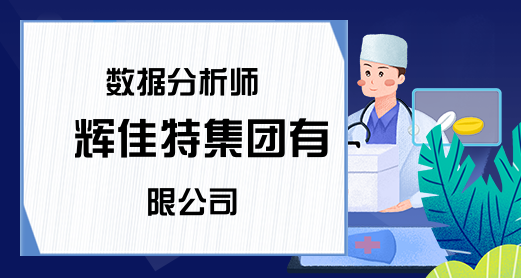 数据分析师 镕辉佳特集团有限公司