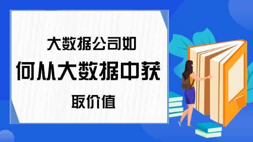 大数据公司如何从大数据中获取价值