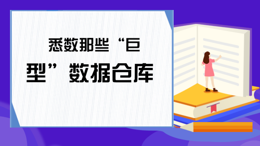 悉数那些“巨型”数据仓库